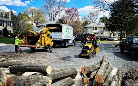 Best Seasonal Cleanup (Spring/Fall)  in Westover, AL