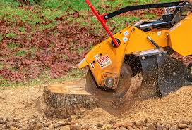 Best Tree Risk Assessment  in Westover, AL