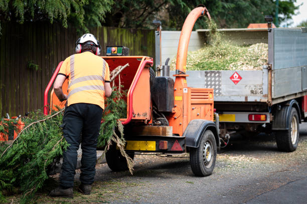 Best Pest Control for Lawns  in Westover, AL