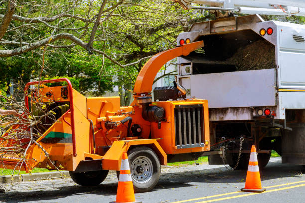 Best Leaf Removal  in Westover, AL
