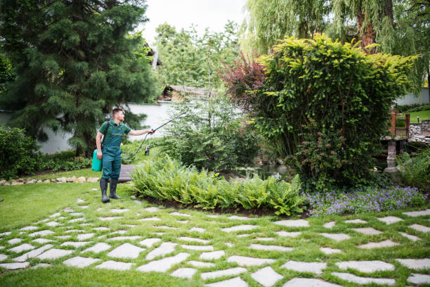 Best Landscape Design and Installation  in Westover, AL