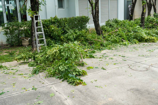 How Our Tree Care Process Works  in  Westover, AL