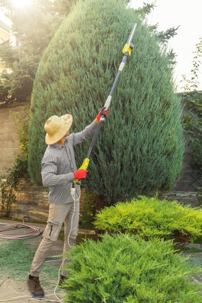  Westover, AL Tree Services Pros